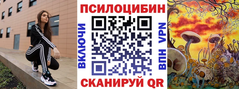 Купить где Гдов Галлюциногенные грибы Psilocybine cubensis